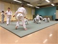 IMG_7322.jpeg